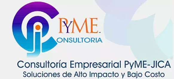 Consultora PYME JICA